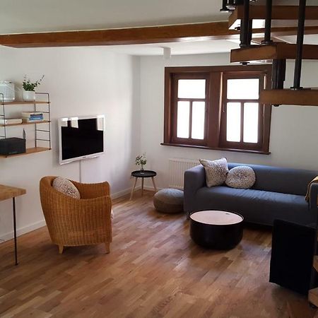 Haus Zum Wilden Manne Villa Erfurt Kültér fotó