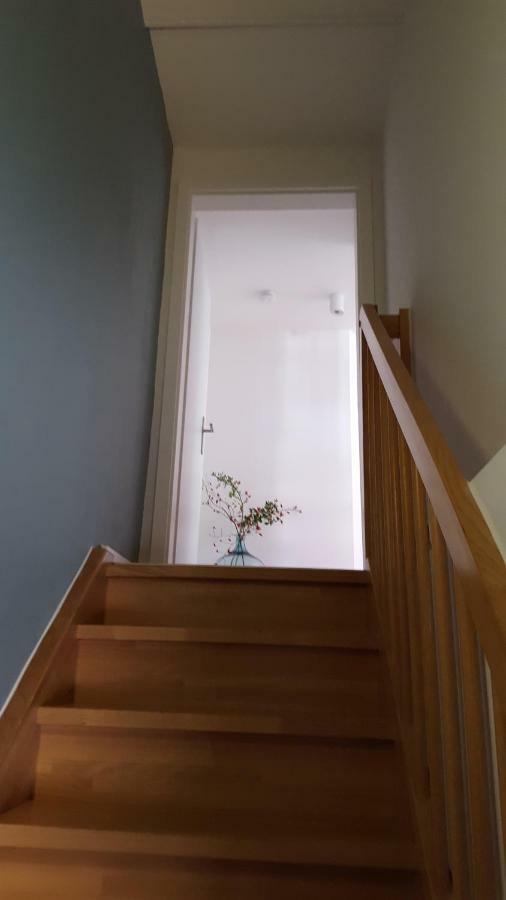 Haus Zum Wilden Manne Villa Erfurt Kültér fotó
